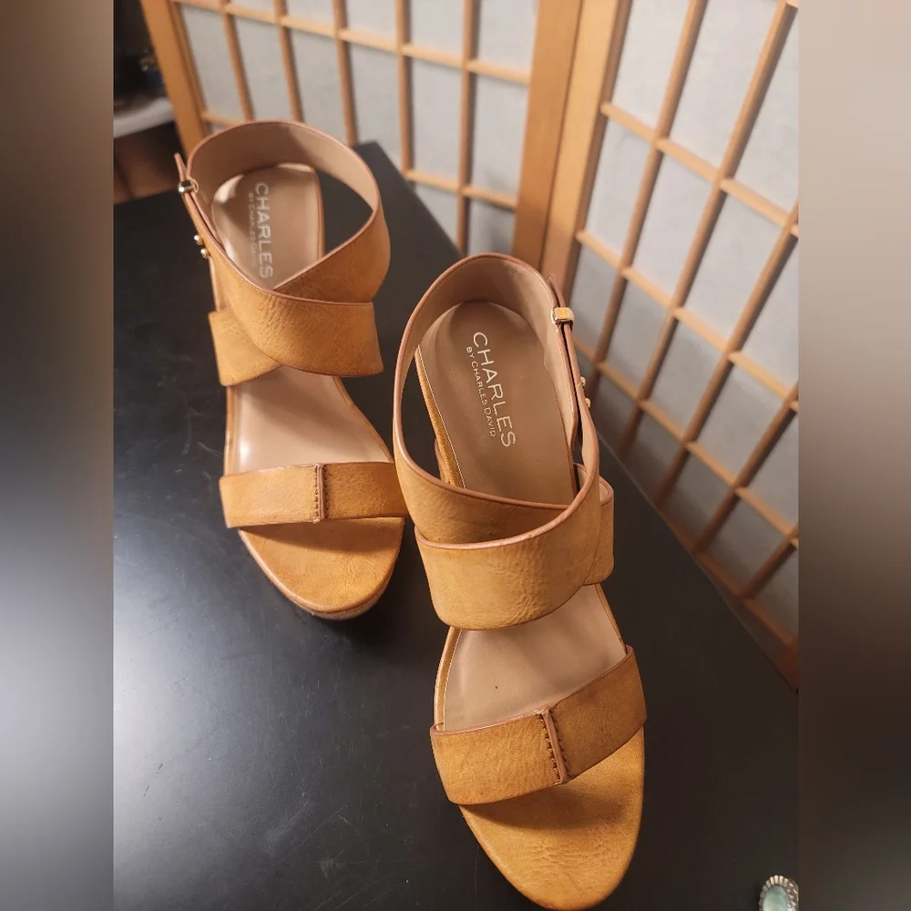 Charles By Charles David Arlington Wedge Sandal - Picture 5 of 15